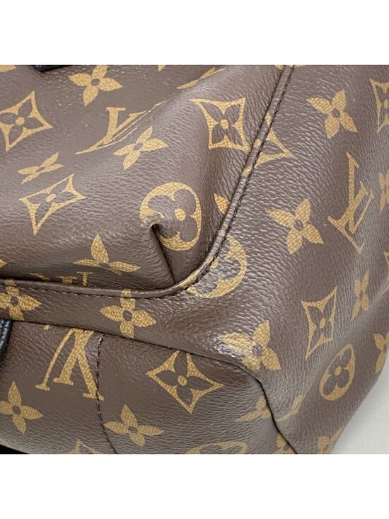 Louis Vuitton Backpack Monogram Palm Spring PM Brown main image 8